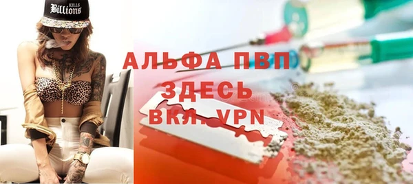 прущие грибы Баксан