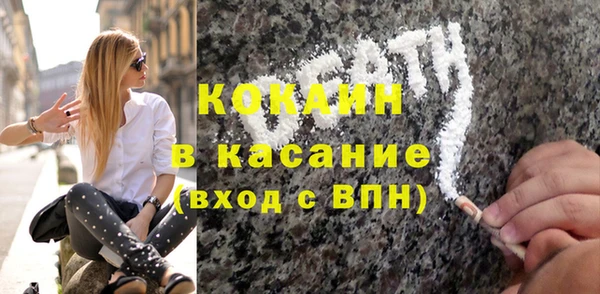 прущие грибы Баксан