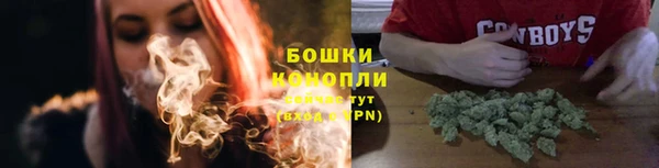 прущие грибы Баксан