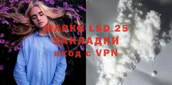 прущие грибы Баксан