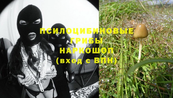 ешки Балахна