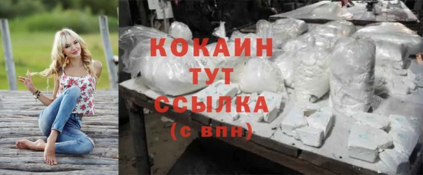 прущие грибы Баксан