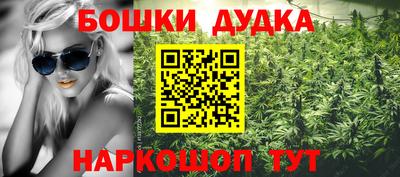 прущие крисы Нальчик
