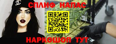 прущие крисы Нальчик