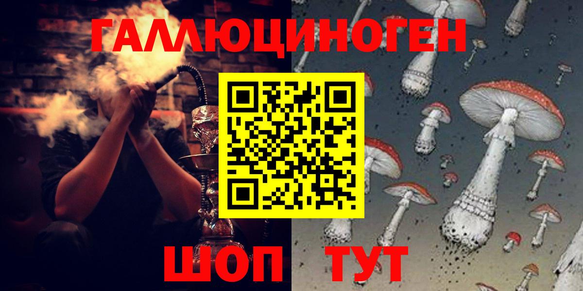 Свободный  Псилоцибиновые грибы Psilocybe  Вход с VPN 