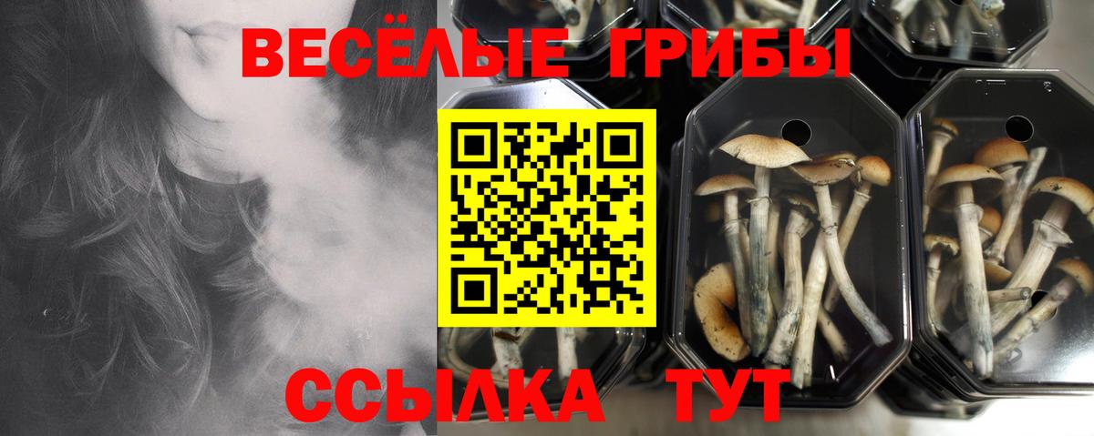 Галлюциногенные грибы ЛСД Свободный